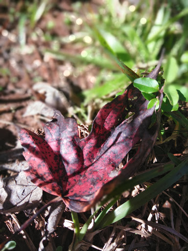 Video Game Store «GameStop», reviews and photos, 4959 Bill Gardner Pkwy Ste 112, Locust Grove, GA 30248, USA