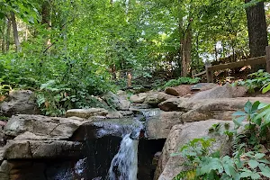 Greensboro Botanical Gardens image