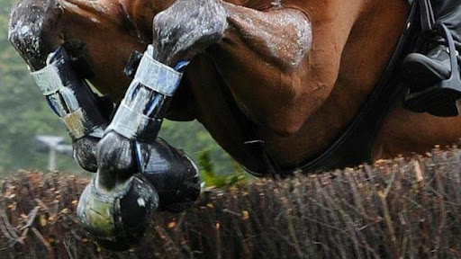 Tack Shop «Equine Exchange Tack Shop», reviews and photos, 1251 Ridge Rd, Pottstown, PA 19465, USA