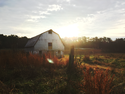 Nature Preserve «Davidson-Arabia Nature Preserve», reviews and photos, 3787 Klondike Rd, Lithonia, GA 30038, USA