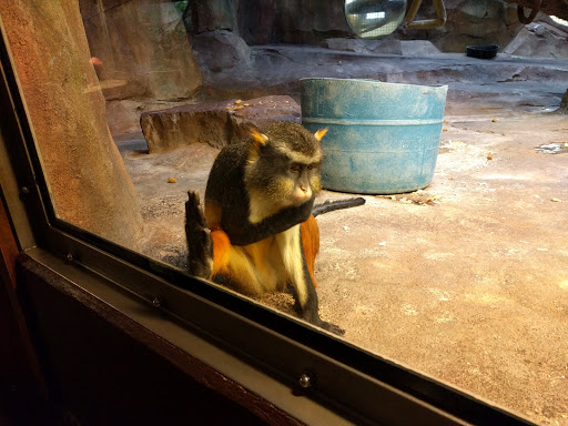 Zoo «Durhams Bear Canyon», reviews and photos, 3701 S 10th St, Omaha, NE 68107, USA