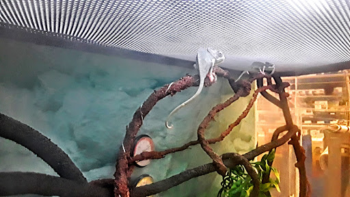 Pet Supply Store «Petco Animal Supplies», reviews and photos, 6280 S Westnedge Ave, Portage, MI 49002, USA