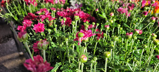 Hardware Store «McLendon Hardware», reviews and photos, 1111 Fryar Ave, Sumner, WA 98390, USA