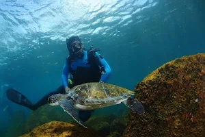 Living Water Diving | PADI 5 Star Dive Resort | Jurerê image
