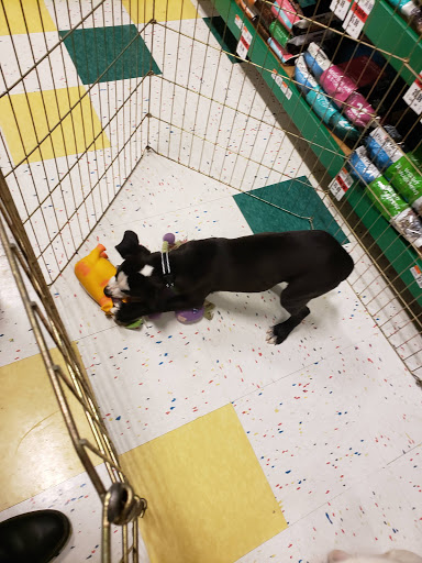 Pet Supply Store «Pet Supplies Plus», reviews and photos, 3120 NJ-35, Hazlet, NJ 07730, USA