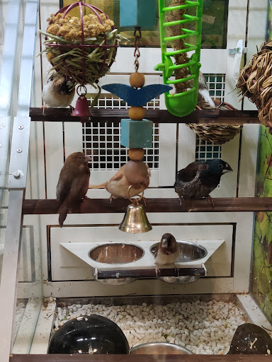 Pet Supply Store «PetSmart», reviews and photos, 585 Main St, Brookfield, WI 53005, USA