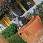 Photo n°7 de l'avis de Cass. fait le 25/11/2022 à 10:02 sur le  Golden Club Cabanas à Cabanas