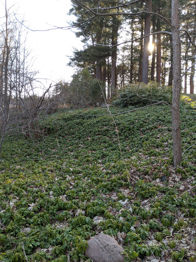 Wedding Venue «The Wadsworth Mansion at Long Hill», reviews and photos, 421 Wadsworth St, Middletown, CT 06457, USA