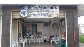 Grupo Los Bosques NA