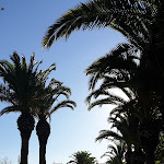 Photo n°11 de l'avis de Videostefman. fait le 04/08/2021 à 18:36 sur le  Plaza Hotel Catania à Catania