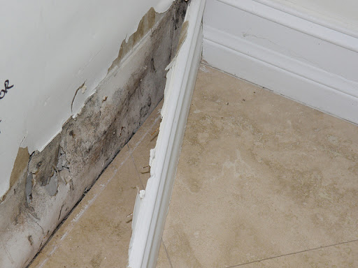 Water Damage Restoration Service «FreshStart Restoration», reviews and photos