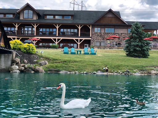 Restaurant «Hidden Valley Animal Adventure», reviews and photos, 2887 Royce Rd, Varysburg, NY 14167, USA
