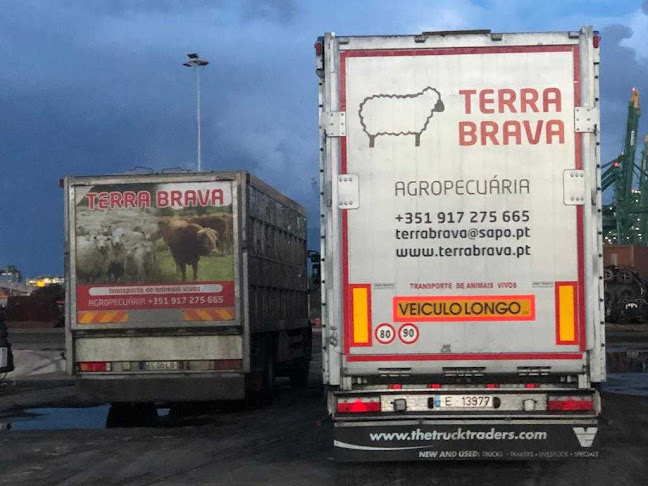 Avaliações doTerra Brava - Transportes E Criação De Gado, Lda. em Rio Maior - Serviço de transporte