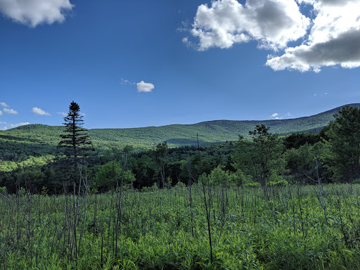 National Forest «Green Mountain and Finger Lakes National Forests», reviews and photos, 231 N Main St, Rutland, VT 05701, USA