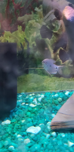 Pet Supply Store «OddBallPetFactory.com», reviews and photos, 8485 Plaza Blvd NE, Spring Lake Park, MN 55432, USA