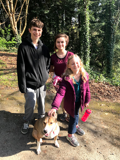 Park «Marine View Park», reviews and photos, 20945 Marine View Dr SW, Normandy Park, WA 98166, USA