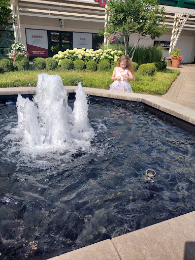 Shopping Mall «The Mall At Lexington Green», reviews and photos, 161 Lexington Green Cir, Lexington, KY 40503, USA