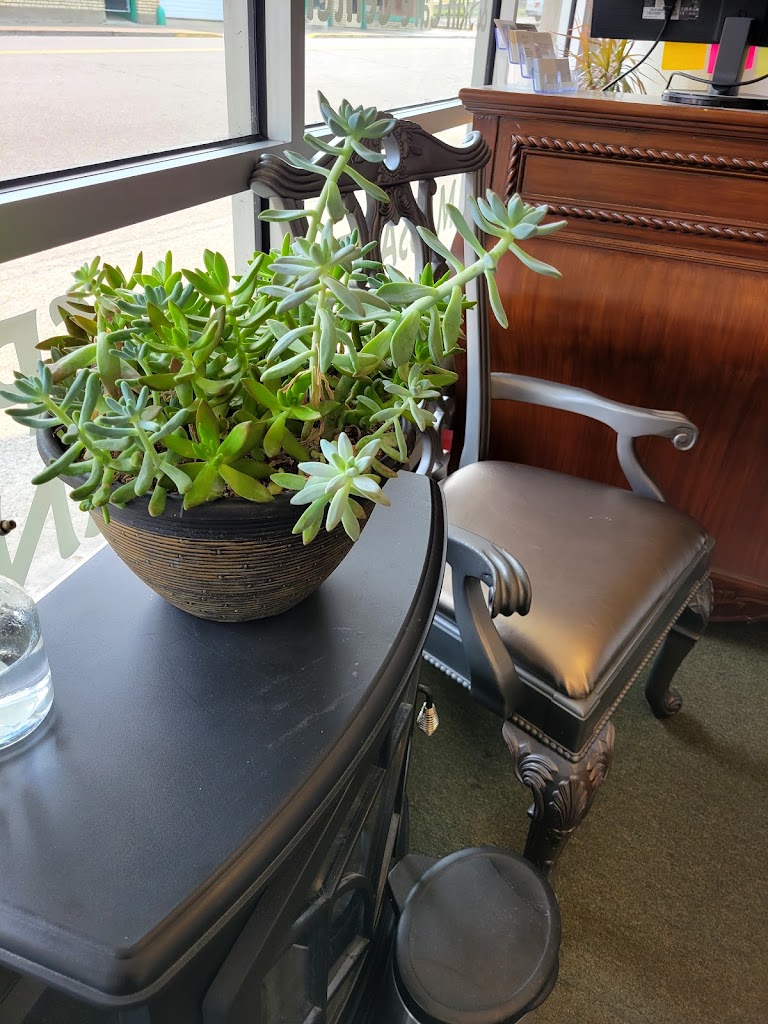 La Bella Medique Spa Roseburg, OR 97470 Services and Reviews