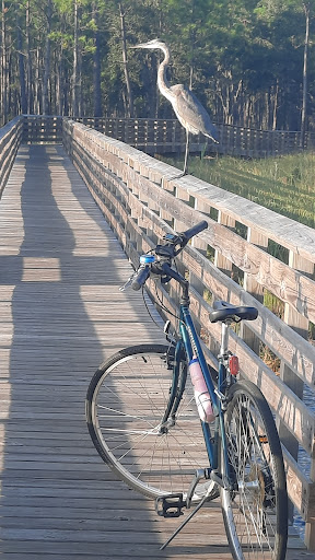 Bicycle Store «Cahaba Cycles», reviews and photos, 2271 Pelham Pkwy, Pelham, AL 35124, USA