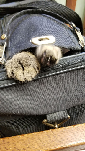 Animal Shelter «Humane Society of Ocean City», reviews and photos, 1 Shelter Rd, Ocean City, NJ 08226, USA