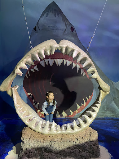 Aquarium «SeaQuest Interactive Aquarium Las Vegas», reviews and photos, 3528 S Maryland Pkwy #340, Las Vegas, NV 89169, USA