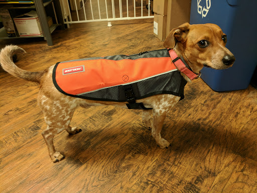 Pet Supply Store «EarthWise Pet Supply», reviews and photos, 7316 Yankee Rd, Liberty Township, OH 45044, USA