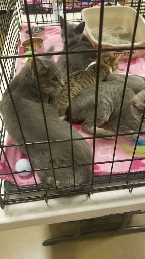 Pet Supply Store «PetSmart», reviews and photos, 4540 Grape Rd, Mishawaka, IN 46545, USA