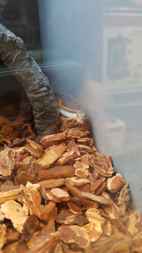 Pet Supply Store «Petco Animal Supplies», reviews and photos, 7721 Mentor Ave, Mentor, OH 44060, USA