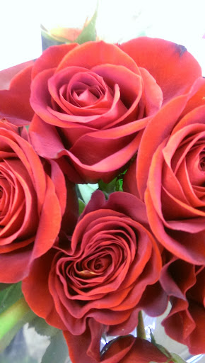 Supermarket «ALDI», reviews and photos, 975 E State St, Geneva, IL 60134, USA