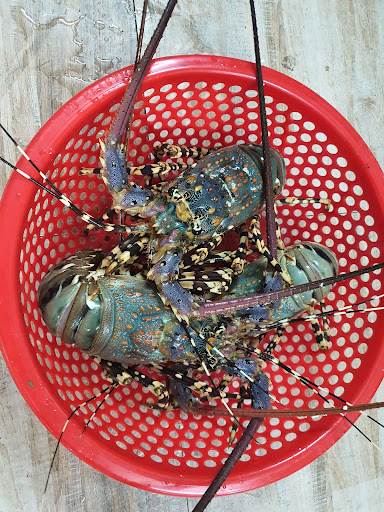 Top 20 cửa hàng akemi Huyện Lý Sơn Quảng Ngãi 2022