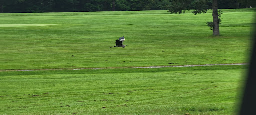 Golf Club «West Bolton Golf Club», reviews and photos, 3324 Nashville Rd, Jericho, VT 05465, USA