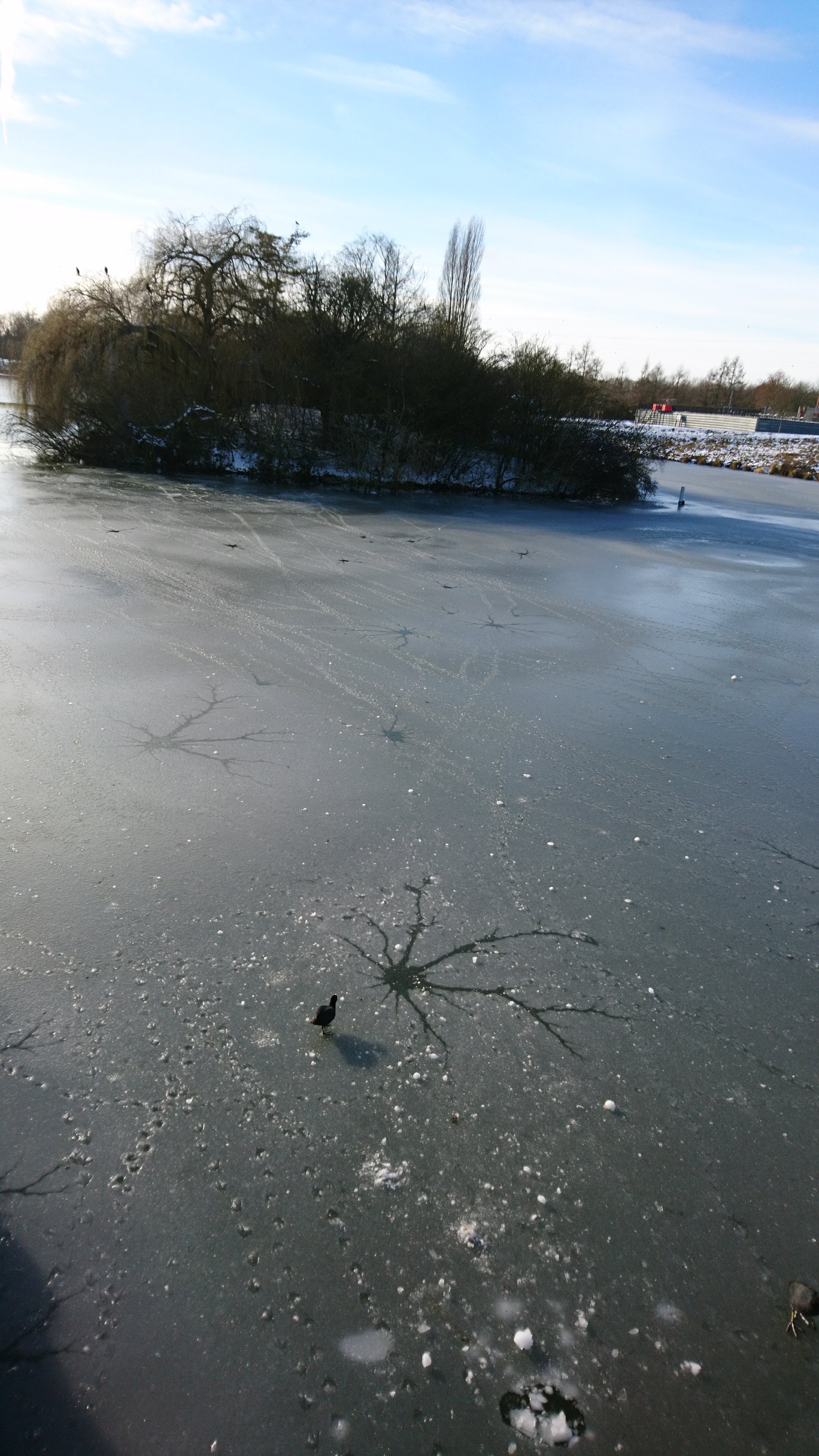 Photo n° 2 de l'avis de christine.l fait le 10/02/2018 à 16:23