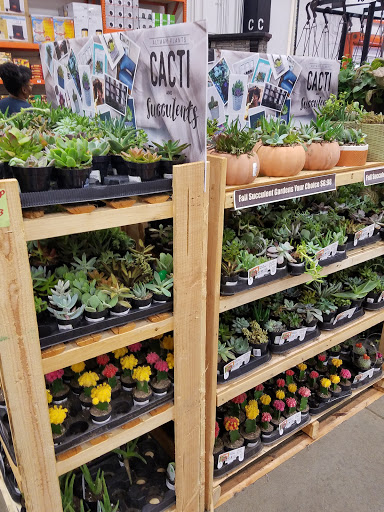 Home Improvement Store «The Home Depot», reviews and photos, 800 Truse Rd, Memphis, TN 38117, USA