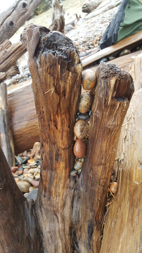 Maritime Museum «Great Lakes Shipwreck Museum», reviews and photos, 18335 N Whitefish Point Rd, Paradise, MI 49768, USA