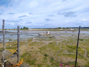 Photo n°80 de L'OYSTER PAYSAN DE LA MER (ex Catherine Roux - Cap Huitres) à Lège-Cap-Ferret ()