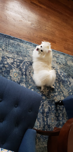 Pet Store «Woof Gang Bakery & Grooming Aberdeen», reviews and photos, 1121 NJ-34, Aberdeen Township, NJ 07747, USA