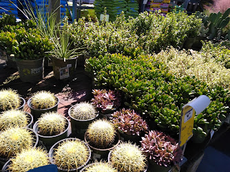 Garden Center at The Home Depot