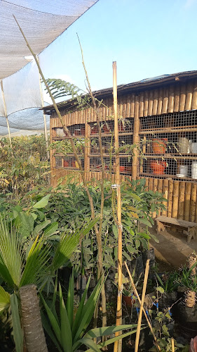 Opinii despre Vivero "Agro Villa Verde Eirl." Huaral în Huaral - Centro comercial