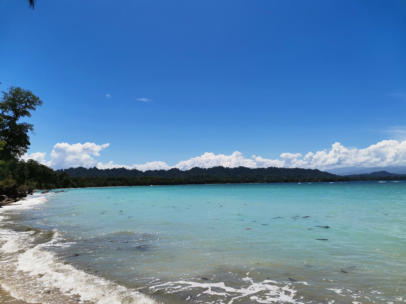 Puerto Vargas'in fotoğrafı imkanlar alanı