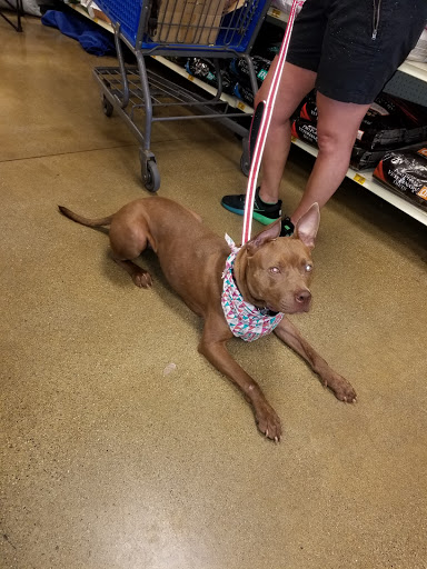 Pet Supply Store «PetSmart», reviews and photos, 162 S Gary Ave, Bloomingdale, IL 60108, USA