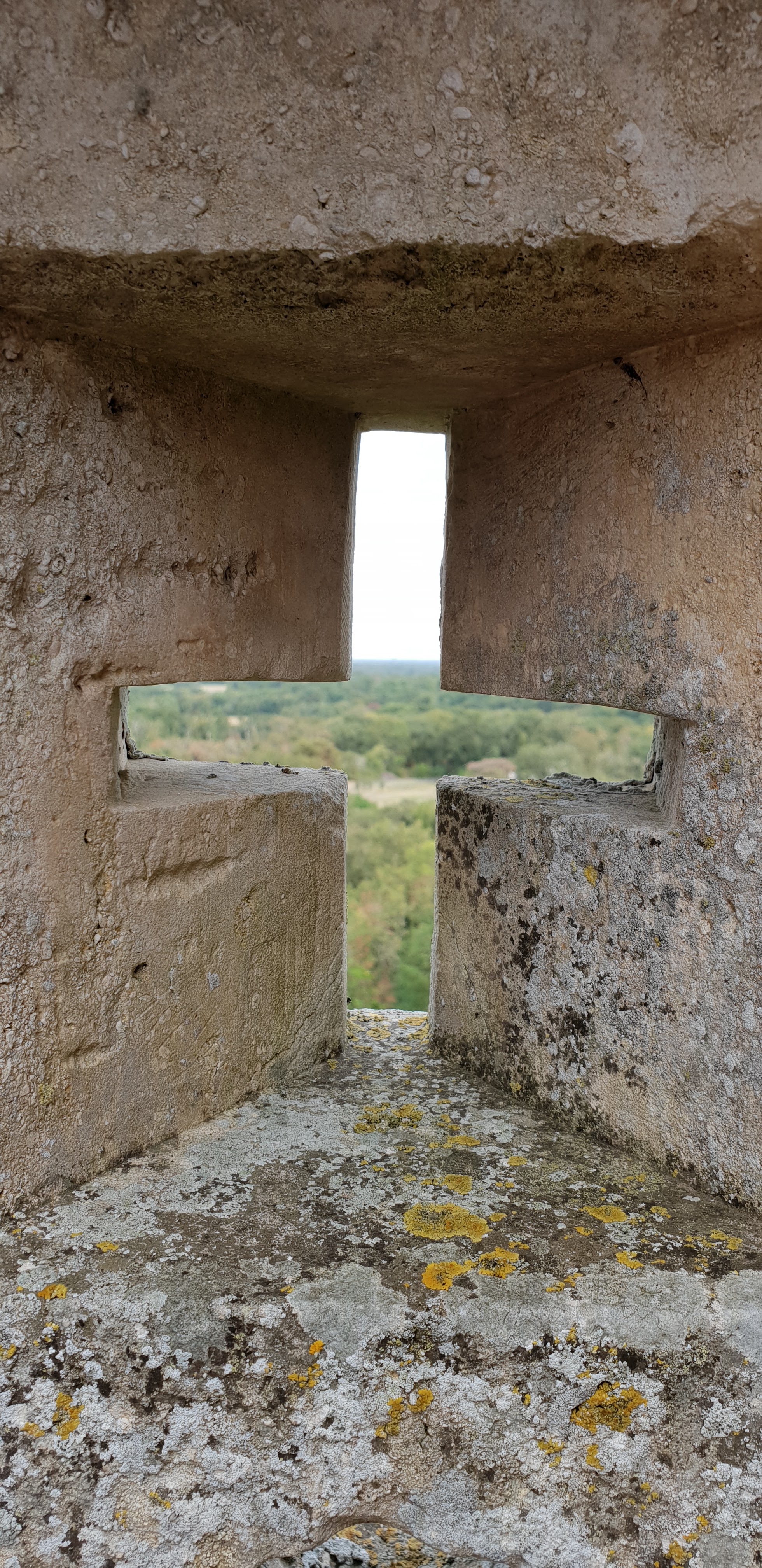 Photo n° 23 de l'avis de O. fait le 18/08/2018 à 19:03