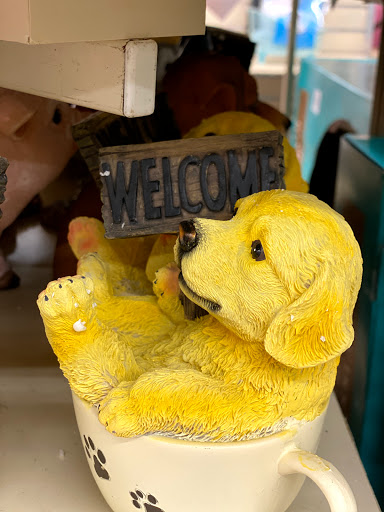 Home Goods Store «Christmas Tree Shops», reviews and photos, 9819 W Broad St, Glen Allen, VA 23060, USA