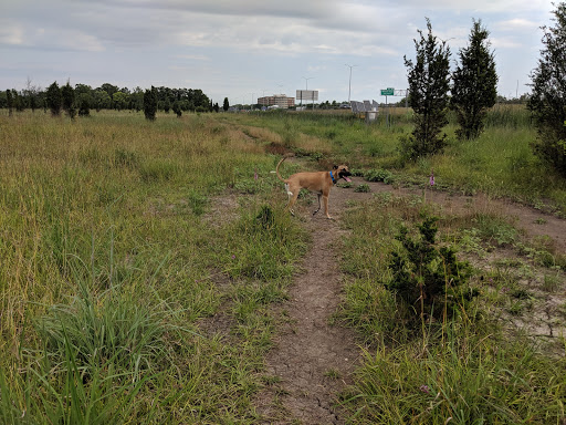 Dog Park «Beck Lake Off-Leash Dog Area», reviews and photos, 9700 Gloria Ct, Glenview, IL 60025, USA