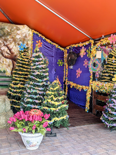 Childrens Farm «Best Long Island Pumpkin Picking», reviews and photos, 250 Old Country Rd, Melville, NY 11747, USA