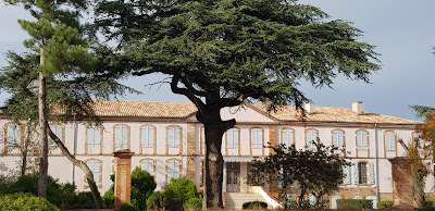 Château de La Mothe à Saint-Cézert