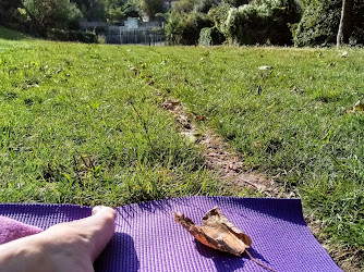 Zoe Gallagher Yoga
