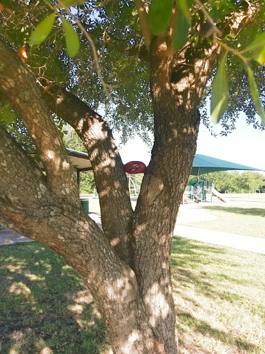 Park «Brown Singleton Park», reviews and photos, Farley St, Waxahachie, TX 75165, USA