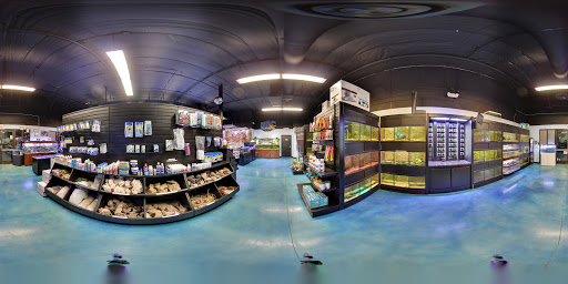 Tropical Fish Store «Pisces Reef Fish Emporium, LLC», reviews and photos, 9326 W Sahara Ave, Las Vegas, NV 89117, USA