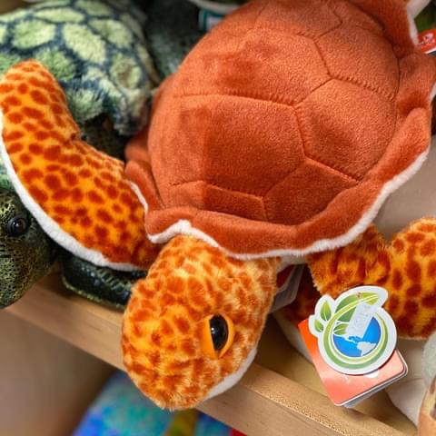 Toy Store «Boomerang Toy Store», reviews and photos, 1 N Forest Beach Dr # B1-4, Hilton Head Island, SC 29928, USA