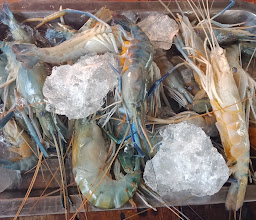 Mahachai Seafood Buffet photo